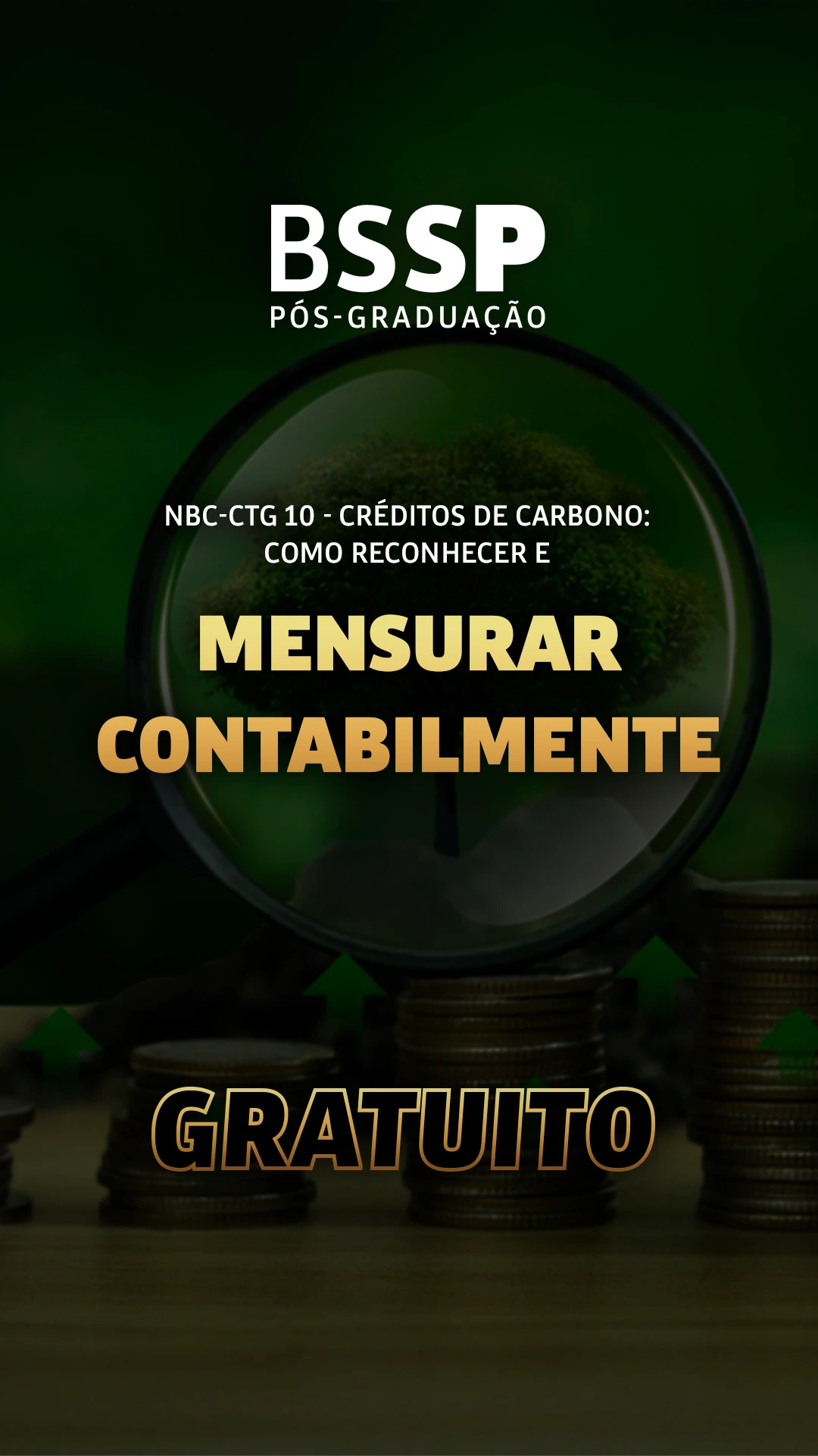 NBC-CTG 10 - Créditos de Carbono_ como reconhecer e mensurar contabilmente